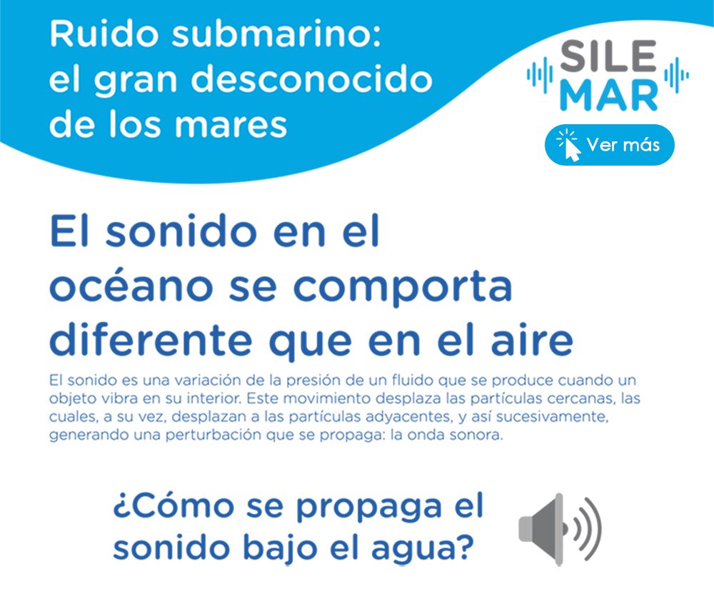 SILEMAR: Ruido submarino: el gran desconocido de los mares