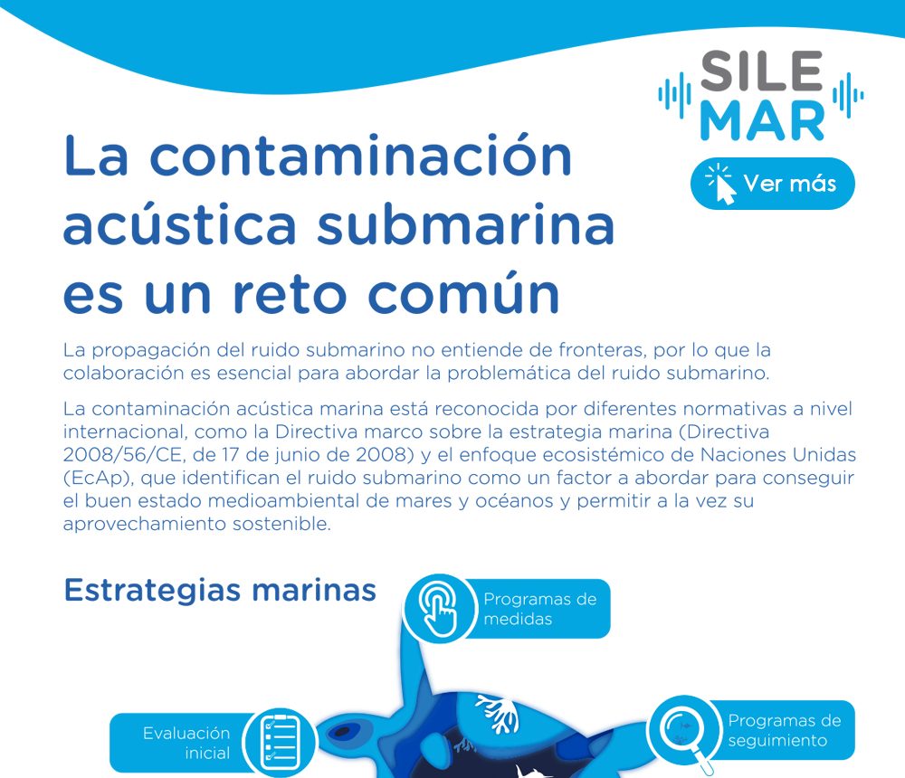 La contaminación acústica submarina es un reto común