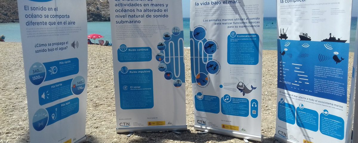 Exposición SILEMAR Marazarrón